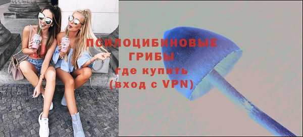 соль ск Володарск