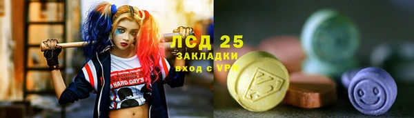 spice Верея