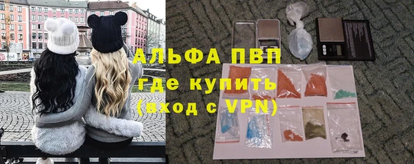 spice Верея