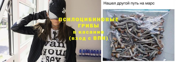спиды Волоколамск